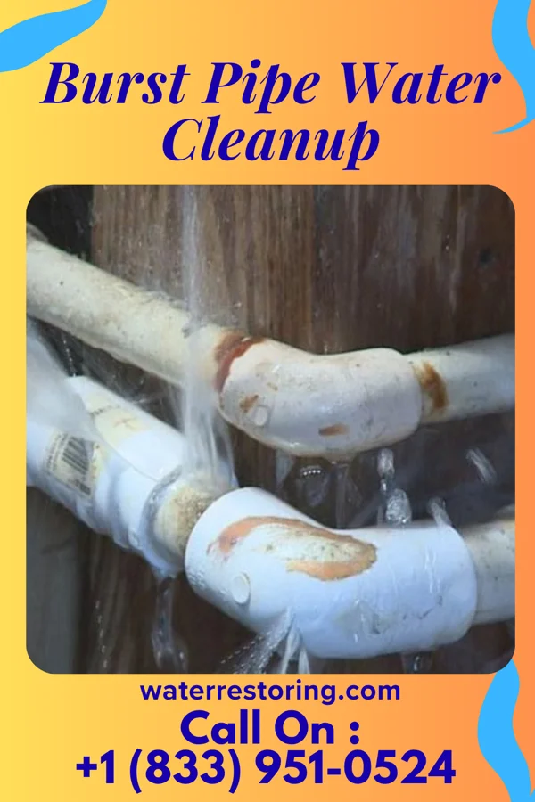 Burst Pipe Water Cleanup in Miramiguoa Park, MO