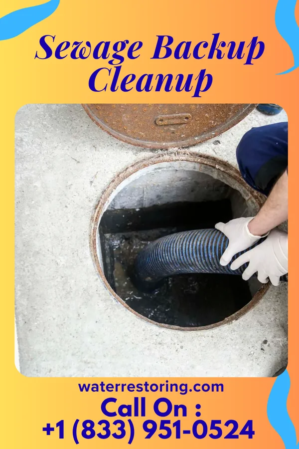Sewage Backup Cleanup in Miramiguoa Park, MO