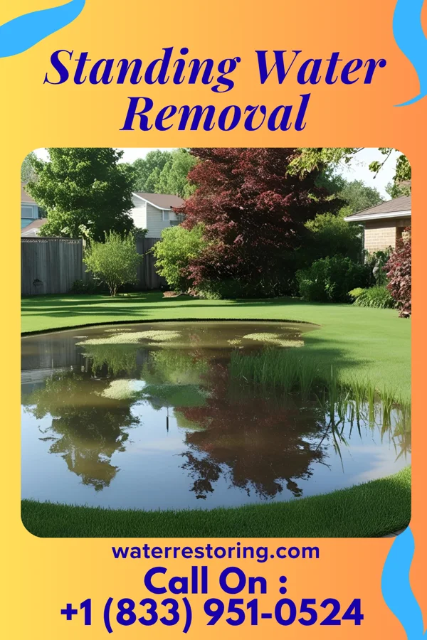 Standing Water Removal in Miramiguoa Park, MO